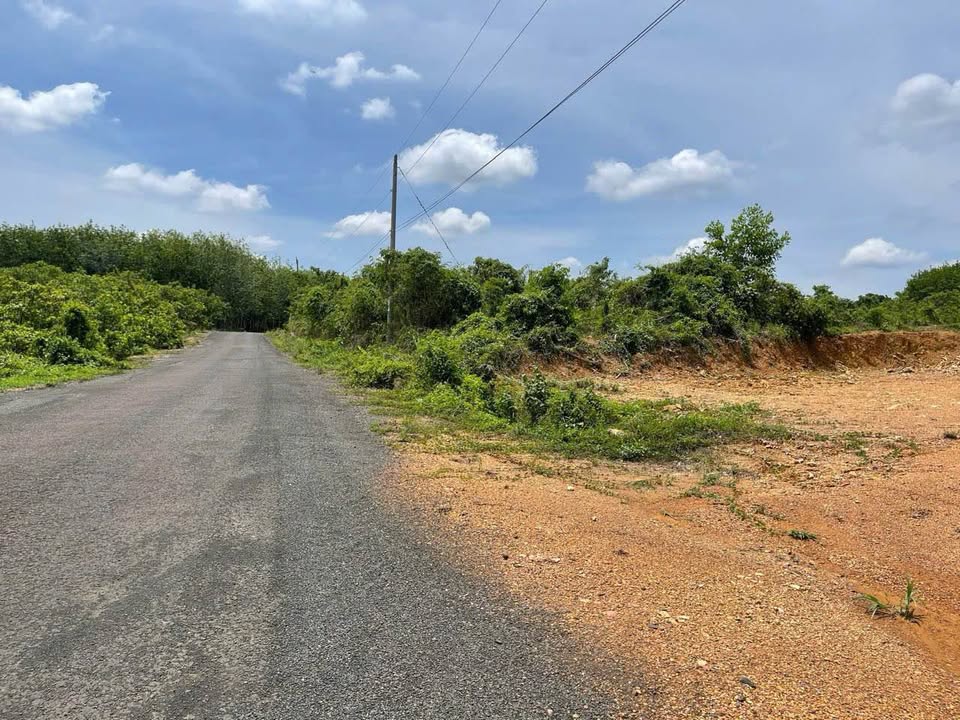 Đất nền Ấp Cây Điệp, Tân Phước, 820m² giá thỏa thuận - Cơ hội đầu tư hấp dẫn!