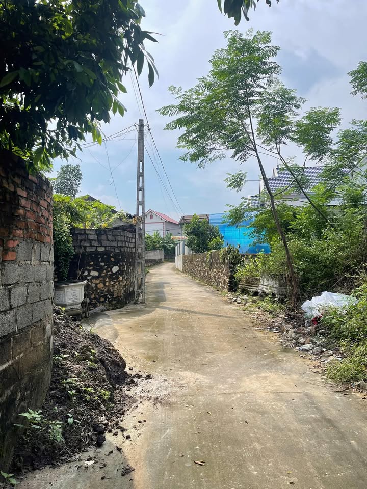 Đất nền Lan Mẫu Lục Nam 104m² giá 700 triệu - Vị trí đắc địa, tiềm năng tăng giá!