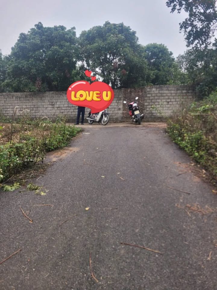 Đất nền phường Nam Sơn, Bắc Ninh 213m² - Tiềm năng đầu tư lớn!