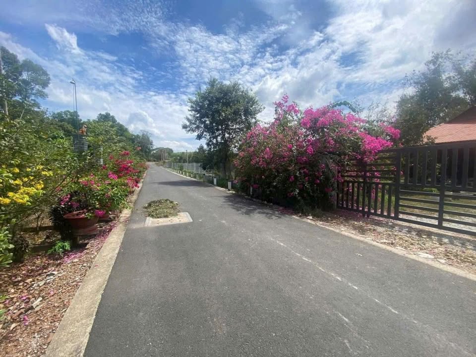 Đất mặt tiền đường Nhựa và sông Sài Gòn tại Thanh An, Dầu Tiếng, Bình Dương 4400m² - Cơ hội đầu tư tốt!