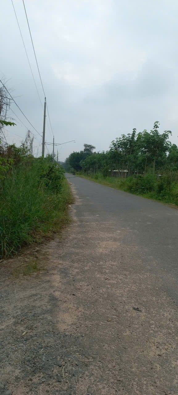 Đất mặt tiền đường Nhựa Lộc Ninh 11500m² - Quy hoạch khu dân cư thuận lợi!