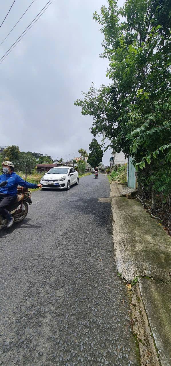 Đất mặt tiền đường nhựa 1636m² tại Xuân Hương Đà Lạt - Giá chỉ 24,5 triệu/m²!