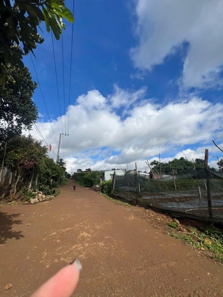 Đất nền An Phú, Pleiku 150m² chỉ từ 300 triệu - Sổ hồng chính chủ!