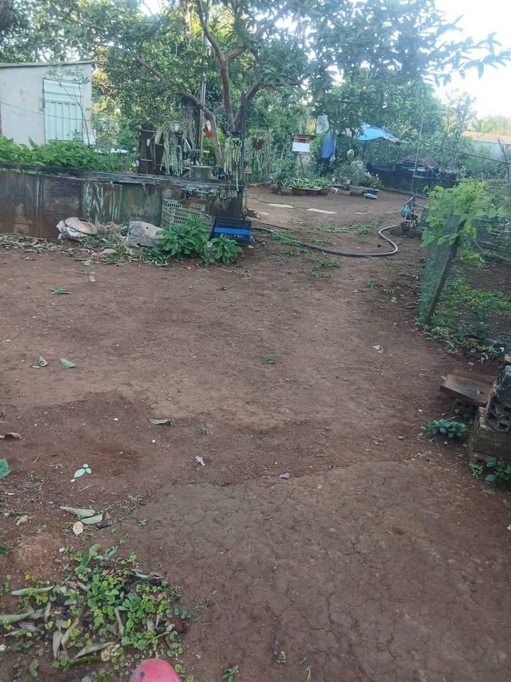 Đất chính chủ Pleiku 261.9m² giá 1.65 tỷ - Đầu tư sinh lời ngay!