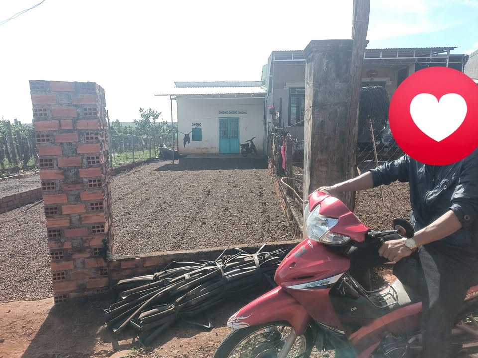 Đất nền Chư Sê Gia Lai 496m² giá thỏa thuận - Sổ hồng chính chủ, vị trí đắc địa!