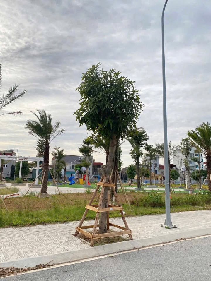 Đất nền Khu đô thị Trái Bầu Hải Dương 69.75m² giá 3 tỷ - Sổ đỏ chính chủ