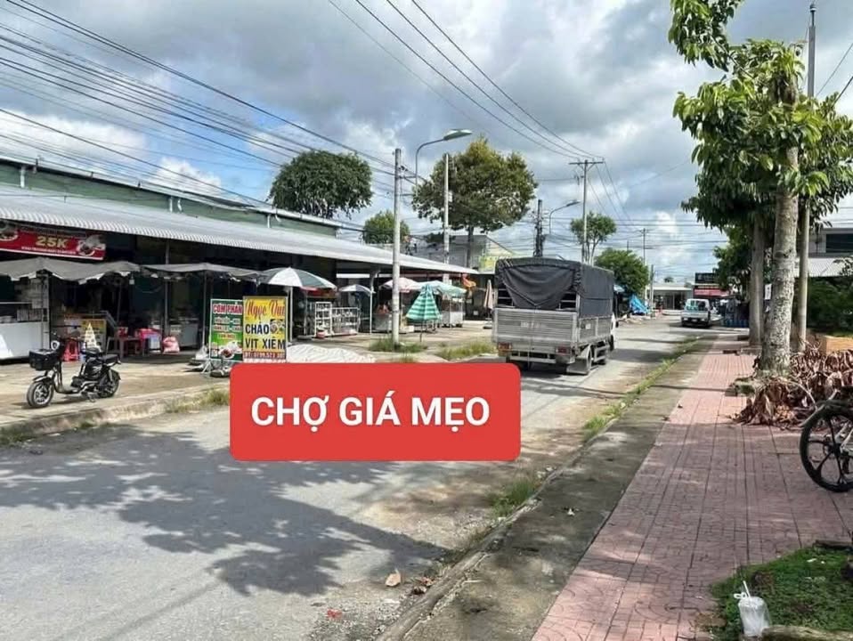 Đất Vườn 800m² tại Đông Thành, Vĩnh Long - Giá chỉ 1.5 tỷ!