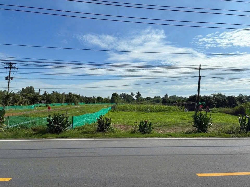 Đất mặt tiền đường Tỉnh 902, xã Nhơn Phú, huyện Mang Thít, Vĩnh Long 3.827m² - Giá tốt, vị trí đắc địa!