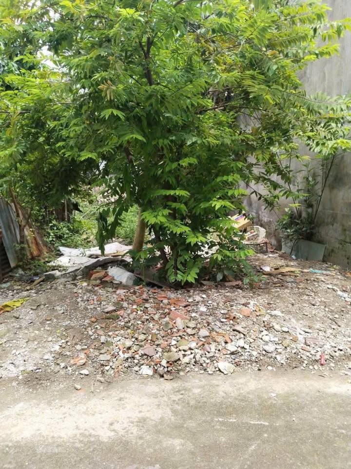 Đất thổ cư Nhơn Trạch 198m² giá 2.4 tỷ - Đầu tư sinh lời ngay!