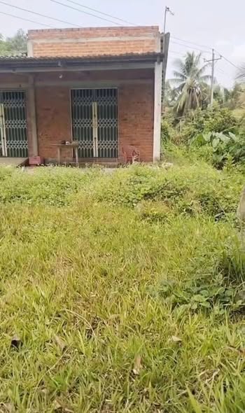 Đất thổ cư 544m² Nhuận Phú Tân, Mỏ Cày Bắc - Giá chỉ 320 triệu!