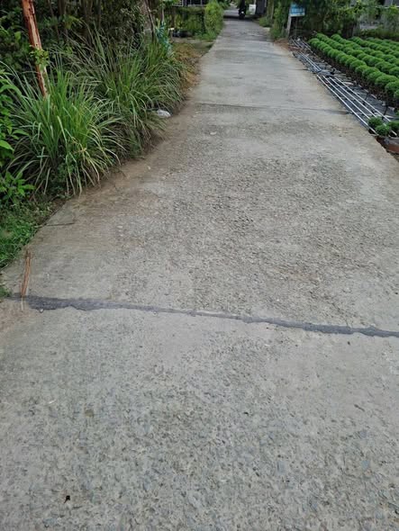 Đất Long Thới Chợ Lách 1400m² giá 1.3 tỷ - Đầu tư sinh lời ngay!