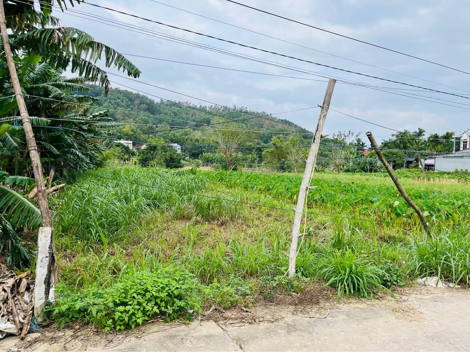 Đất vườn 422m² phường Trương Quang Trọng giá 300 triệu - Cơ hội đầu tư hấp dẫn!