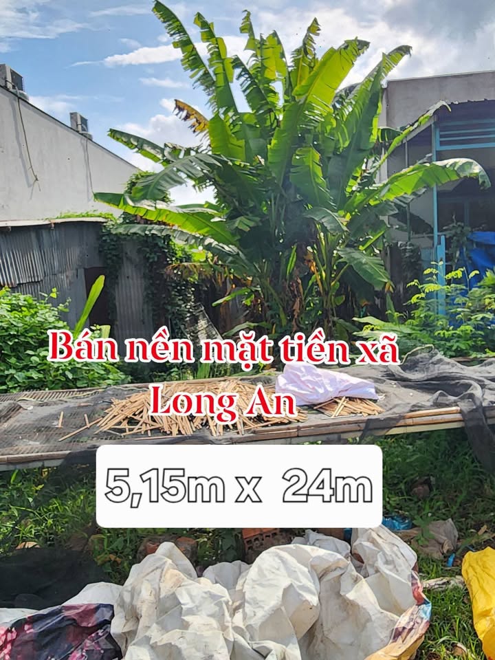 Đất nền mặt tiền đường nhựa xã Long An, Tân Châu, An Giang - Giá 450 triệu, chính chủ thương lượng!