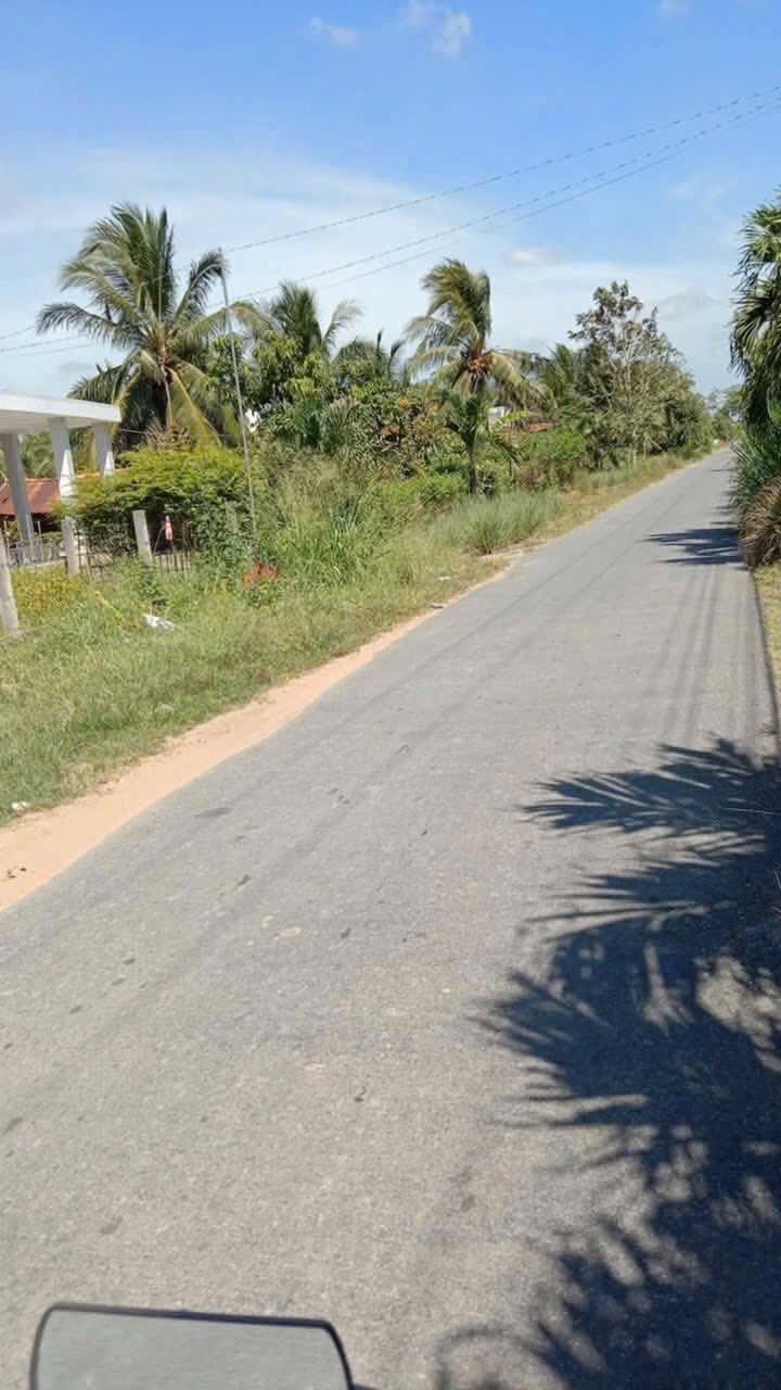 Đất nền Phong Nẫm Giồng Trôm 271m² giá chỉ 550 triệu - Sổ hồng chính chủ!