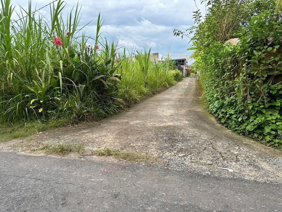 Đất nền Phú Tân Bến Tre 380m² giá 890 triệu - Đầu tư sinh lời tốt!