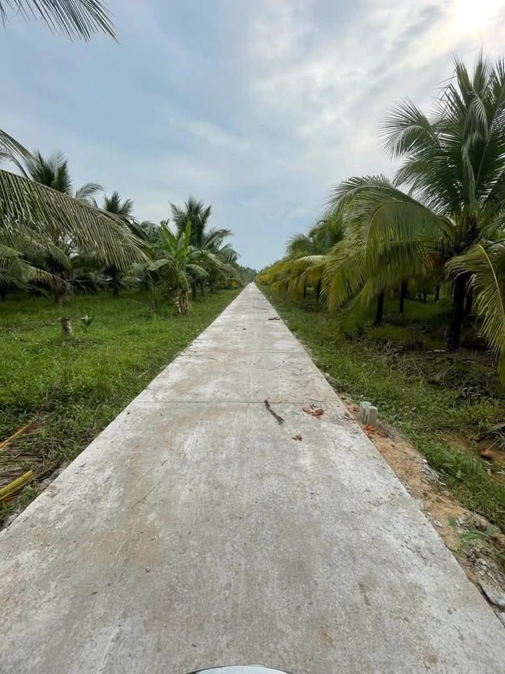 Đất nền Hữu Định 600m² giá chỉ 1 triệu/m² - Đường ô tô vào tận nơi!