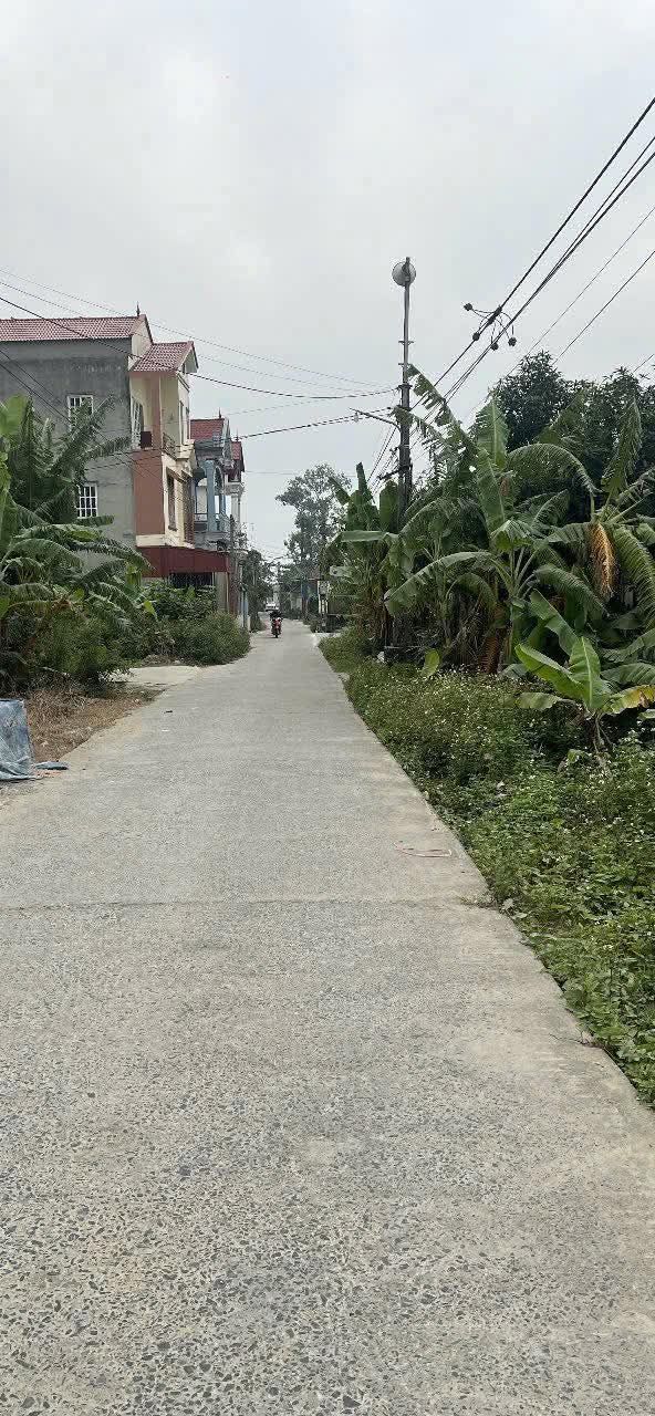 Đất nền liền kề tại xã Phạm Trấn 100m² chỉ 1.6 tỷ - Đầu tư sinh lời ngay!