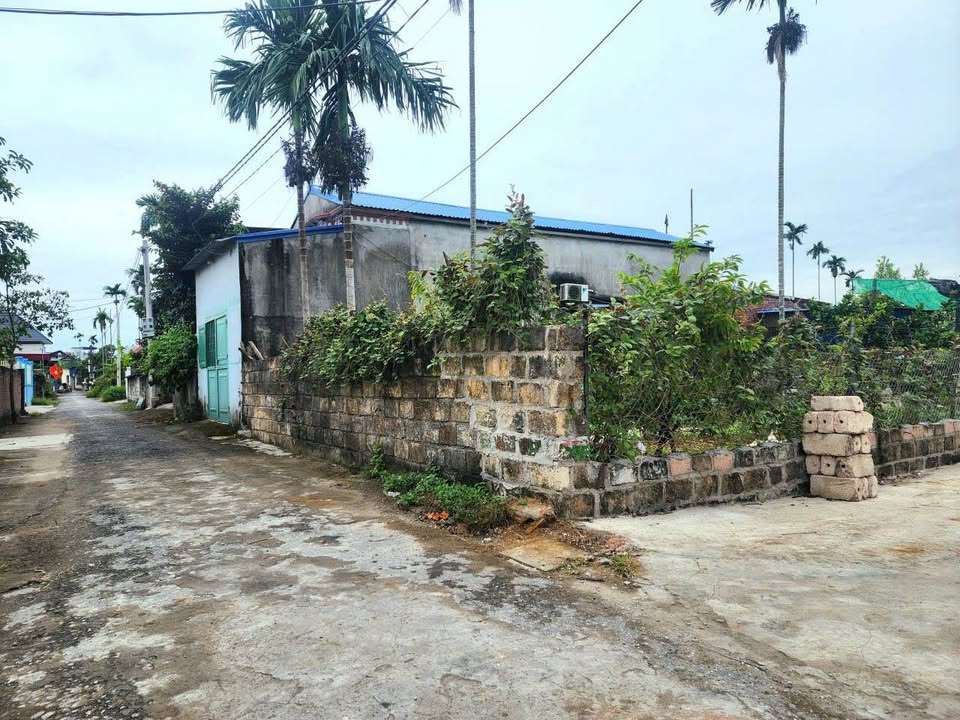 Đất thổ cư Thôn Hầu, Tân Tiến, Hải Phòng 80m² giá 1.3 tỷ - Đường ô tô vào thoải mái!