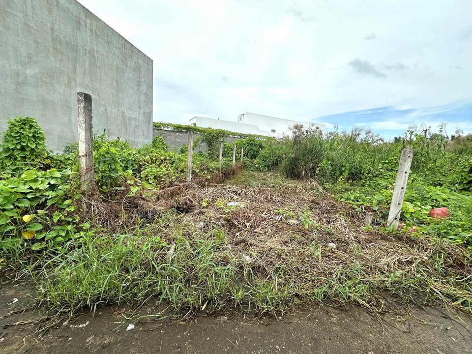 Đất nền hẻm ô tô Trần Văn Bảy 112m² giá 1.25 tỷ - An ninh, dân cư văn minh!