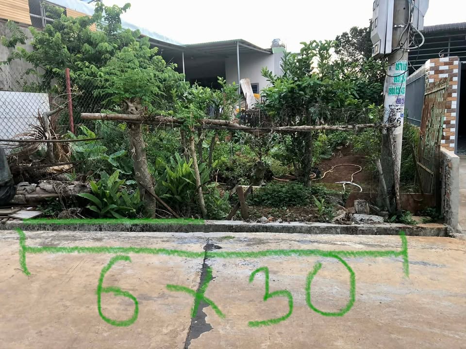 Đất nền 180m² tại Đắk Mil giá 1.65 tỷ - Cơ hội đầu tư tuyệt vời!