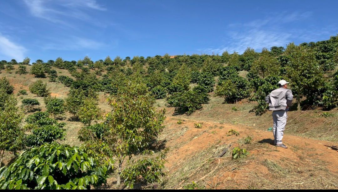 Đất nền 1.9ha Tân Thanh, Lâm Hà giá 2.768 tỷ - Thế đất đẹp, ao tưới riêng!