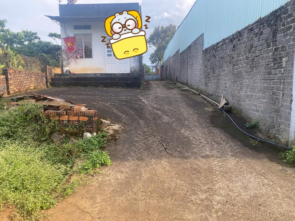 Đất thổ cư 3600m² tại Lộc Thắng, Bảo Lâm - Giá chỉ 750 triệu!