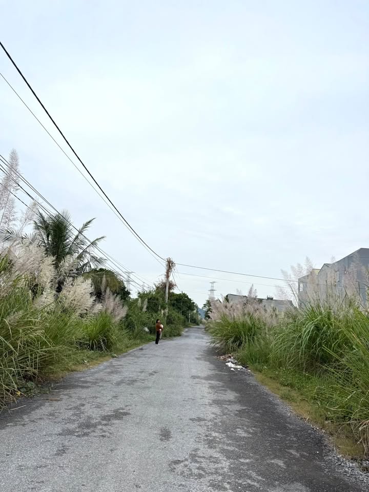 Đất nền Ngọc Sơn, Kim Bảng 104m² giá 2 tỷ - Sổ đỏ chính chủ ngay đầu đường T3!