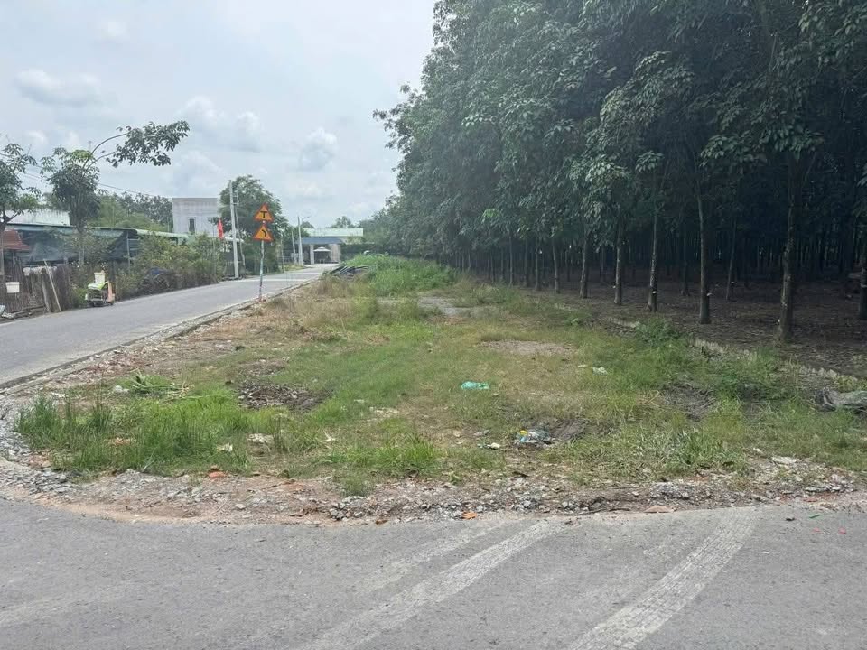 Đất Hòa Lợi Bến Cát 100m² giá 1.5 tỷ - Đầu tư sinh lời ngay!