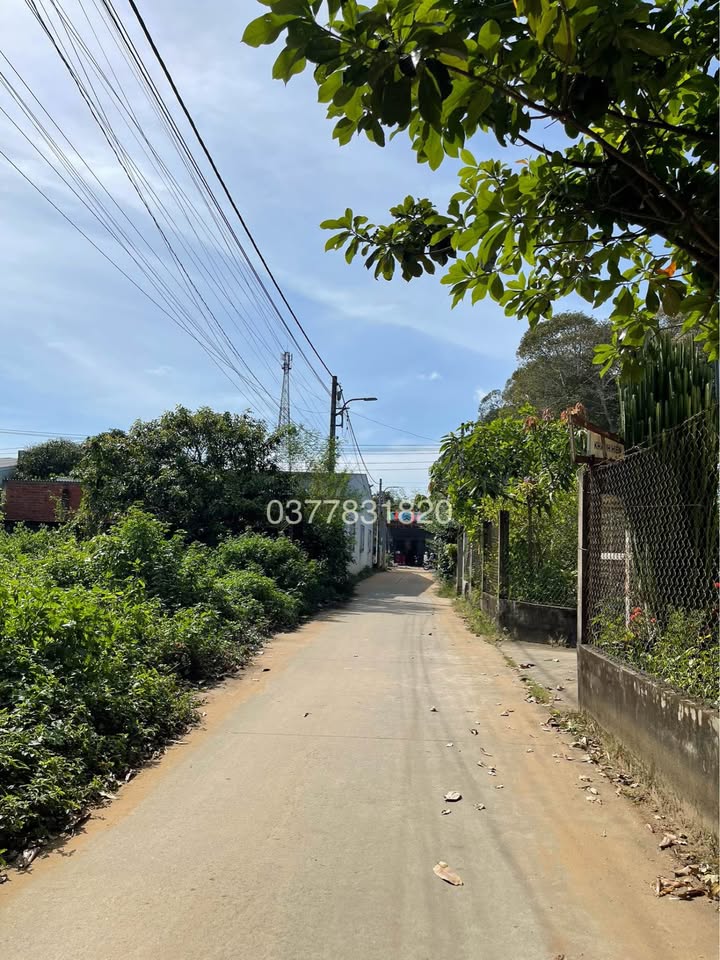 Đất mặt tiền đường Nguyễn Chí Thanh, Trà Vinh 115m² chỉ 500 triệu - Cơ hội đầu tư hấp dẫn!