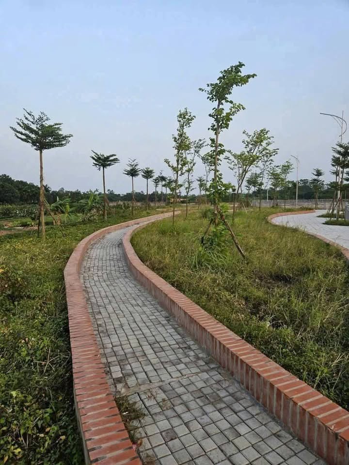 Đất vườn Yên Mỹ, Thanh Trì 309m² giá 927 triệu - Cơ hội đầu tư tuyệt vời!