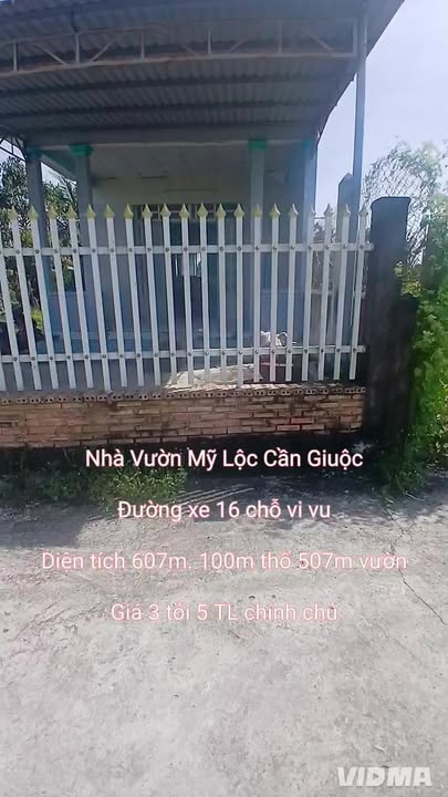 Nhà vườn tại Mỹ Lộc, Cần Giuộc 607m² giá 3.5 tỷ - Đầu tư sinh lời ngay!