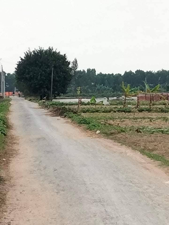 Đất nền Hồng Khê, Bình Giang 100m² giá 1.4 tỷ - Cơ hội đầu tư tuyệt vời!