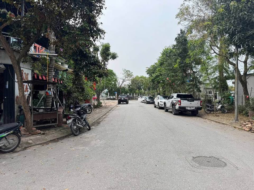 Đất phân lô vỉa hè Trâu Quỳ, Gia Lâm 125m² giá chỉ 16.25 tỷ - Đầu tư sinh lời ngay!