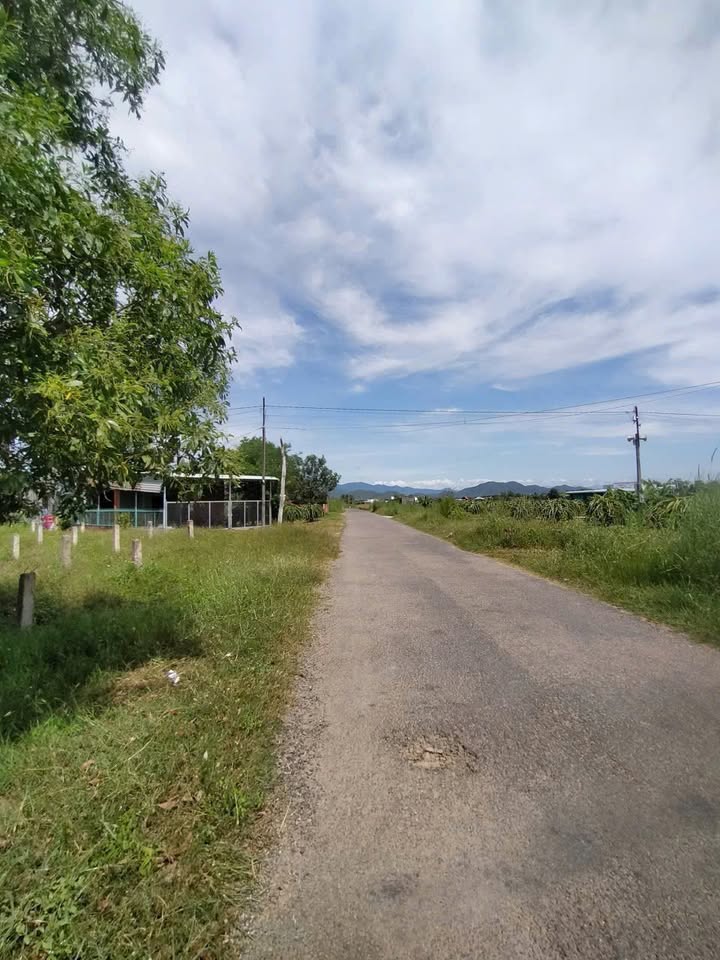 Đất nền 1000m² Thôn Đại Lộc, Hàm Hiệp giá chỉ 1.05 tỷ - Phù hợp làm homestay!