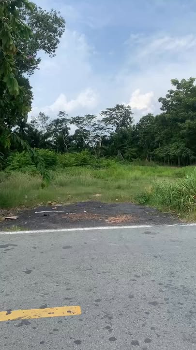 Đất nền 2 mặt tiền Đỗ Đăng Tuyển, Củ Chi 569m² giá 4 tỷ - Kinh doanh thuận lợi!