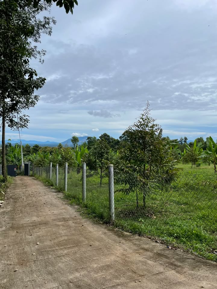 Đất thổ cư 90m² tại Bình Lộc, Uông Bí - Giá chỉ 950 triệu!