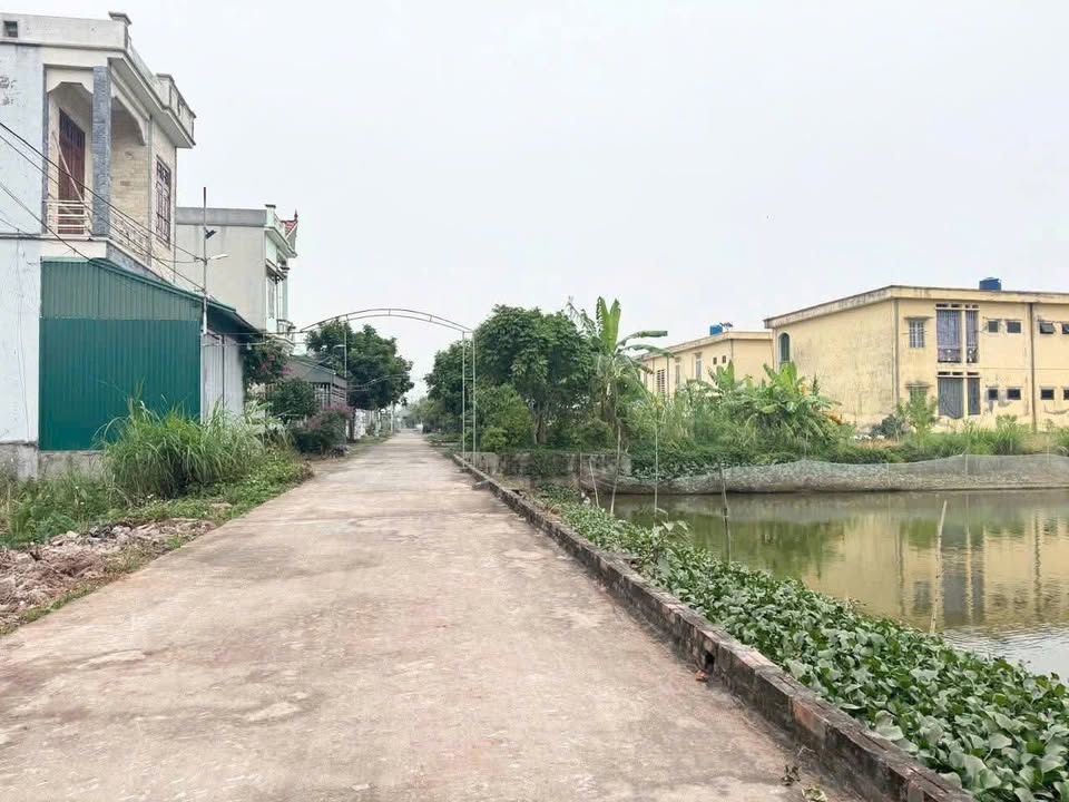 Đất nền Đông Hoàng, Tiền Hải, Thái Bình 100m² giá chỉ 800 triệu - Cơ hội đầu tư tuyệt vời!