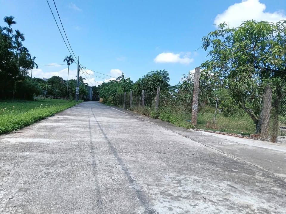 Đất thổ cư xã Bình Định, huyện Kiến Xương 104m² giá 600 triệu - Cơ hội đầu tư hấp dẫn!