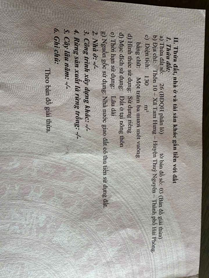 Lô đất 130m² tại Tổ dân phố 6, Tam Hưng - Phong thủy đẹp giá chỉ 1,2 tỷ!