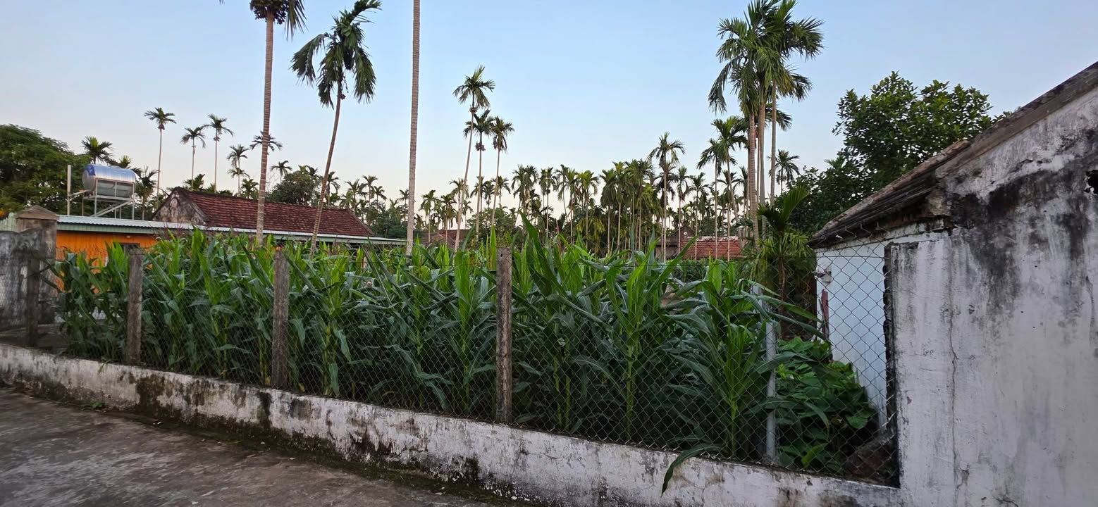 Đất nền Hải Sơn, Hải Hậu 607m² - Mặt tiền rộng, vị trí đắc địa!