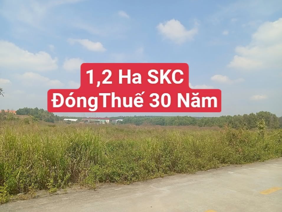 Đất SKC Vĩnh Tân Tân Uyên 12.600m² giá 37.8 tỷ - Đầu tư sinh lời ngay!