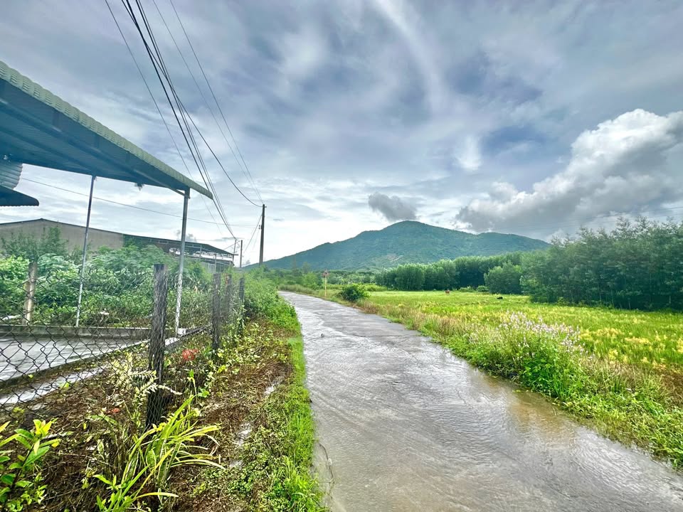 Nhà mặt tiền đường Liên Thôn Diên Lâm 102m² giá chỉ 550 triệu - Cơ hội sở hữu ngay!