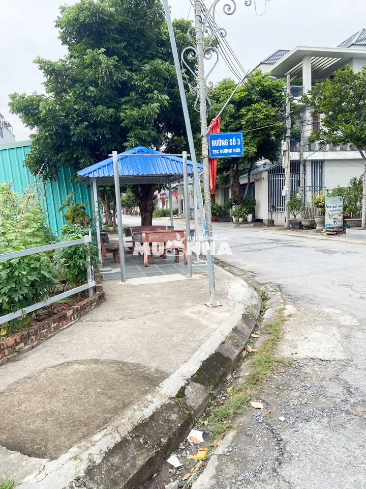 Đất nền tại đường số 3 khu TDC Đường Dứa Hải An 73m² - Hướng Nam, giá thỏa thuận!