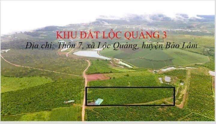 Đất nền Lộc Quảng Bảo Lộc 4745m² giá 14.235 tỷ - Tiềm năng phát triển mạnh mẽ!