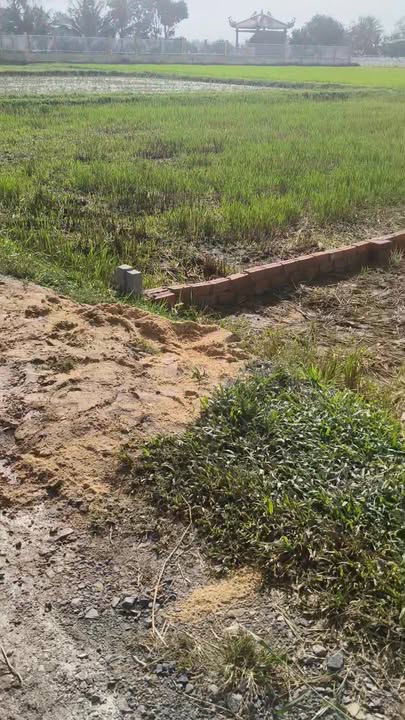 Đất nền 5x25m tại ấp Tràm Lạc, Đức Hòa, Long An giá chỉ 780 triệu - Sổ đỏ chính chủ!