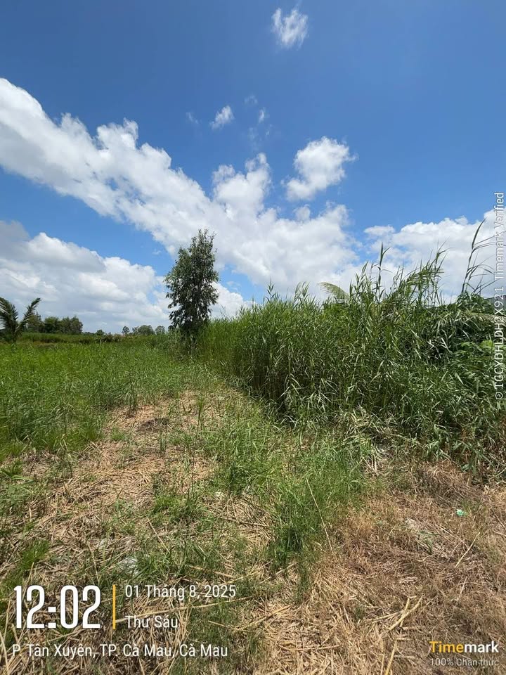 Đất nền An Xuyên Cà Mau 313m² chỉ 380 triệu - Đầu tư sinh lời ngay!