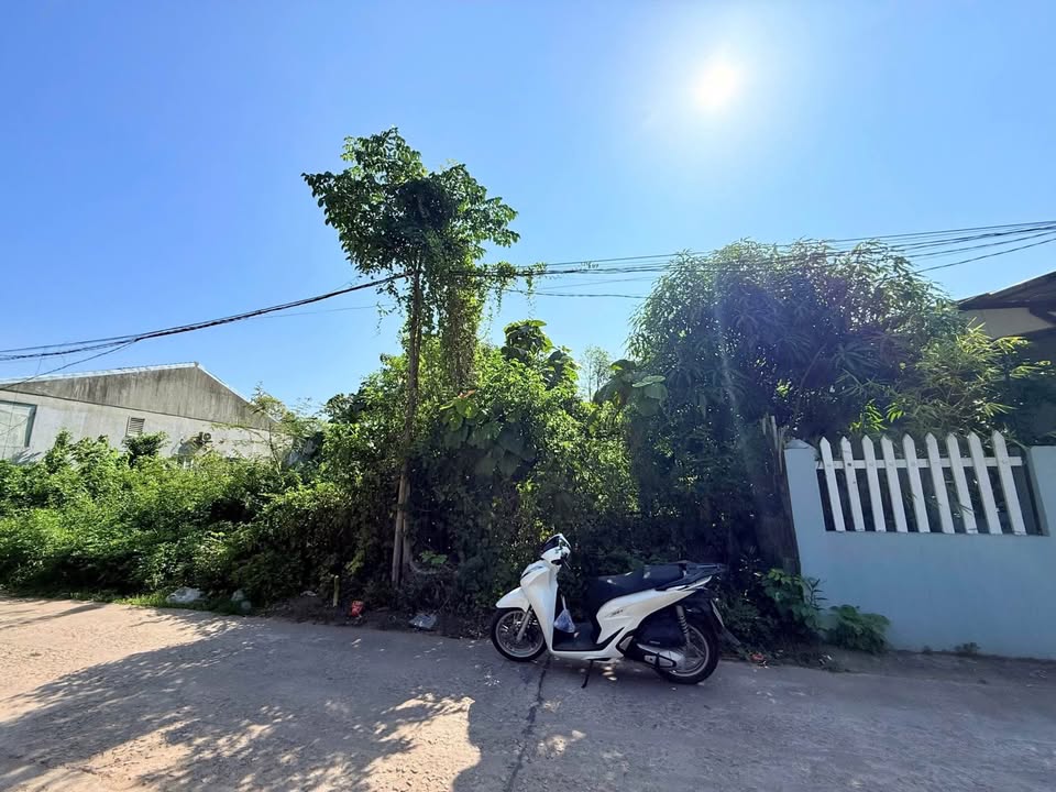 Đất mặt tiền Thu Bồn, Thủy Xuân, TP. Huế - Diện tích 150m², giá chỉ 2.xx tỷ!