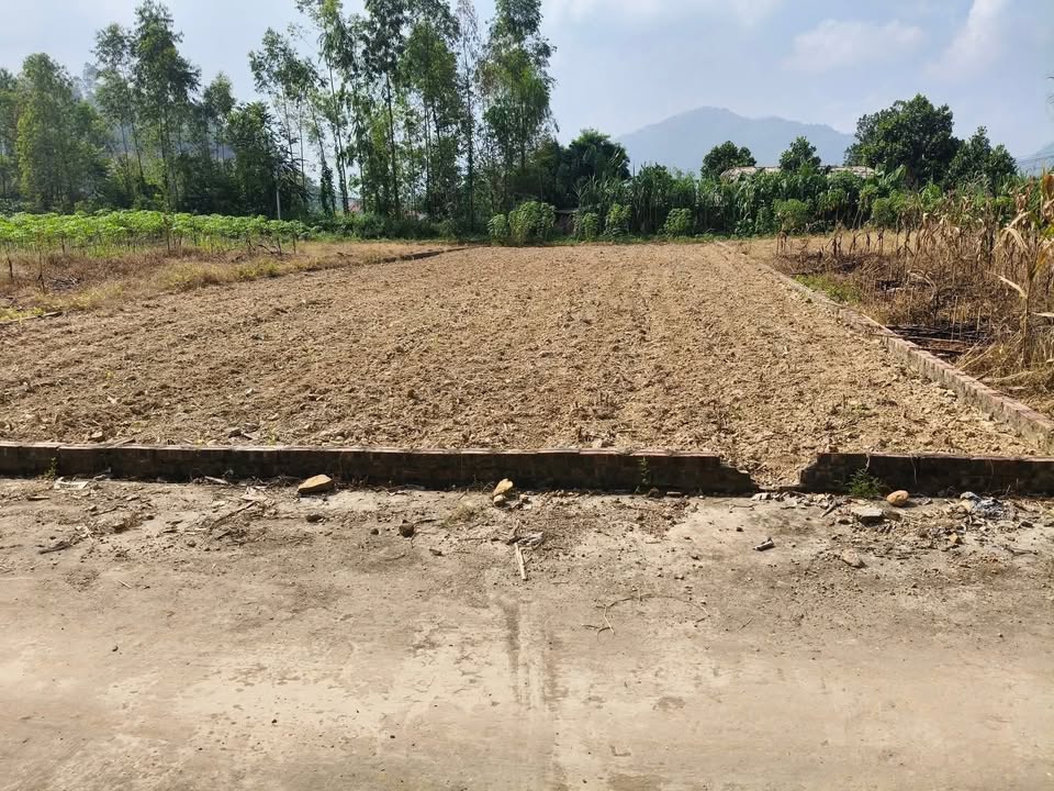 Đất thổ cư Hương Lung Cẩm Khê 140m² giá 400 triệu - Cơ hội đầu tư tuyệt vời!