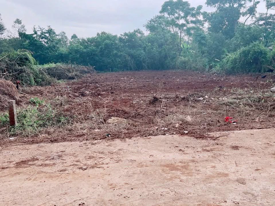 Đất nền Tân Lập mới, Buôn Ma Thuột 300m² giá 1.335 tỷ - Đường ô tô, khu dân cư sầm uất!