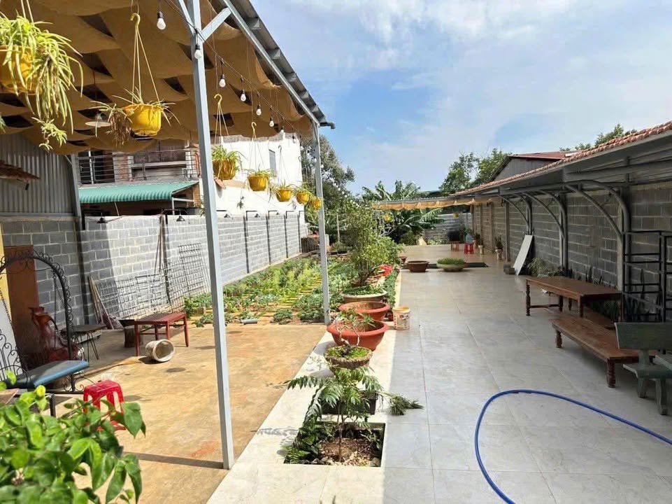 Nhà phố mặt tiền Phan Bội Châu, Buôn Ma Thuột 250m² giá 8.1 tỷ - Cơ hội đầu tư tuyệt vời!